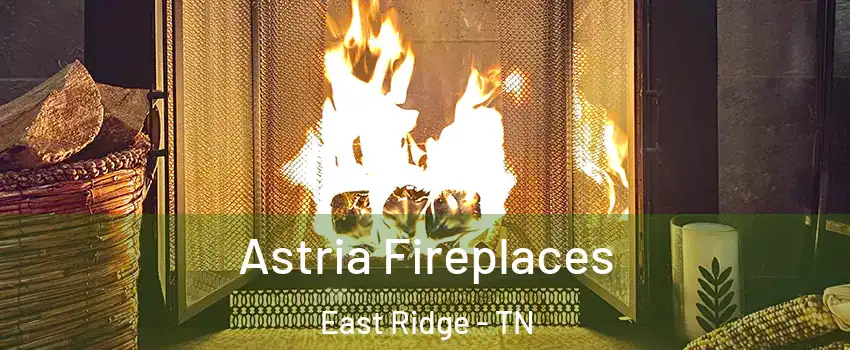  Astria Fireplaces East Ridge - TN