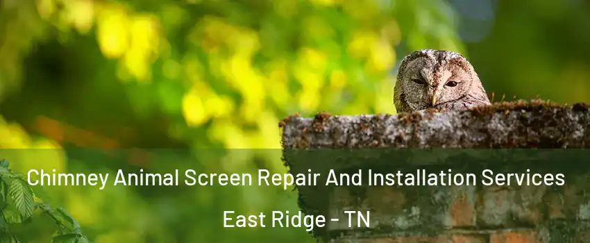  Chimney Animal Screen Repair And Installation Services East Ridge - TN