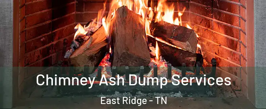  Chimney Ash Dump Services East Ridge - TN