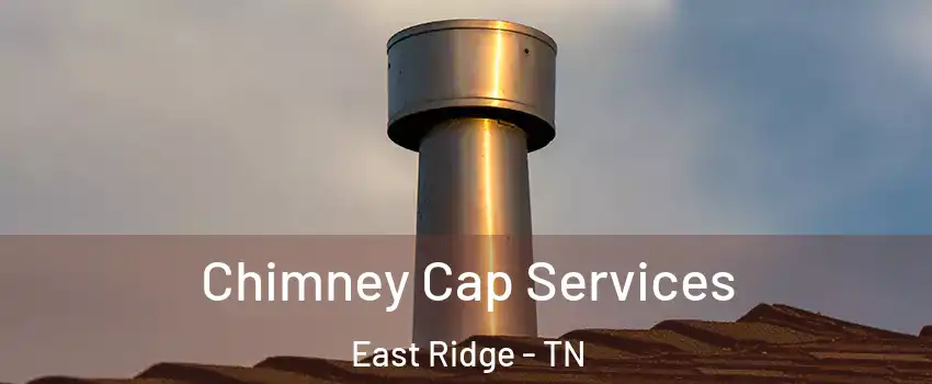  Chimney Cap Services East Ridge - TN