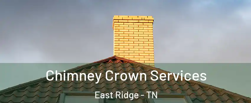  Chimney Crown Services East Ridge - TN