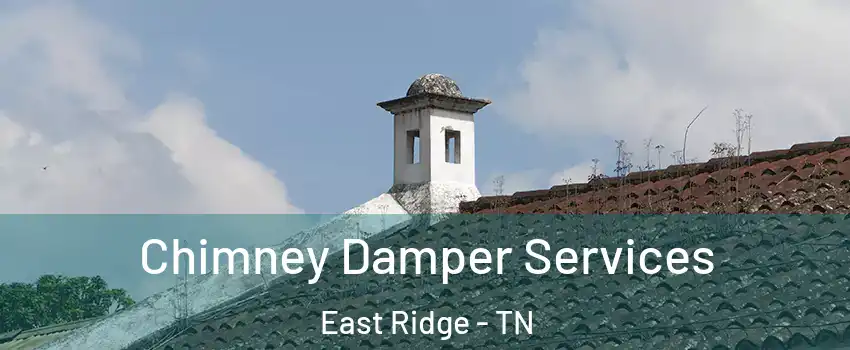  Chimney Damper Services East Ridge - TN