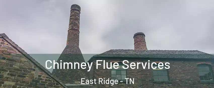  Chimney Flue Services East Ridge - TN