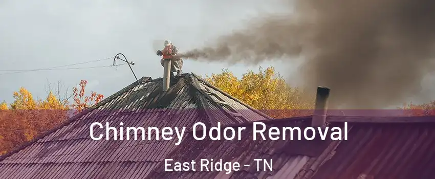  Chimney Odor Removal East Ridge - TN