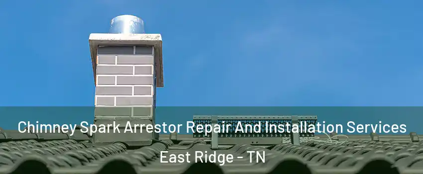  Chimney Spark Arrestor Repair And Installation Services East Ridge - TN