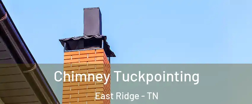  Chimney Tuckpointing East Ridge - TN