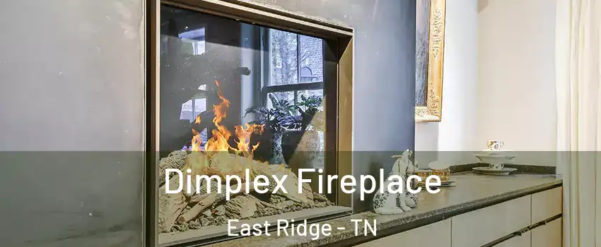  Dimplex Fireplace East Ridge - TN