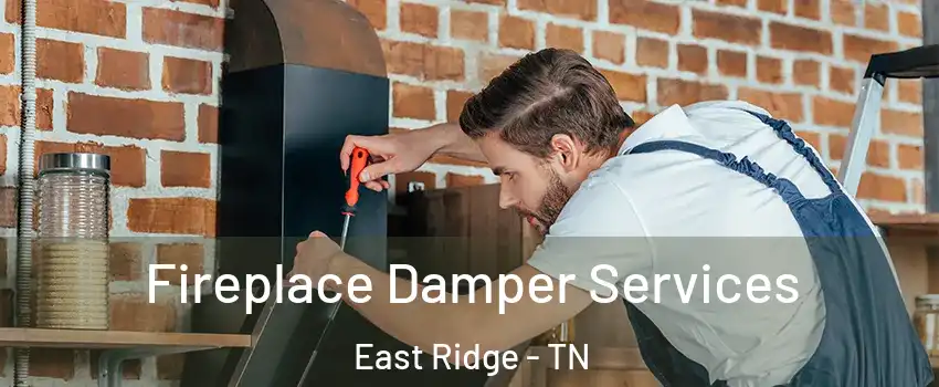  Fireplace Damper Services East Ridge - TN