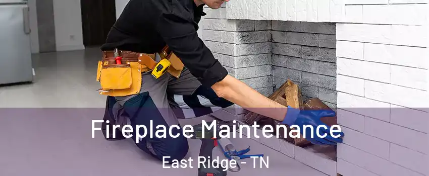  Fireplace Maintenance East Ridge - TN