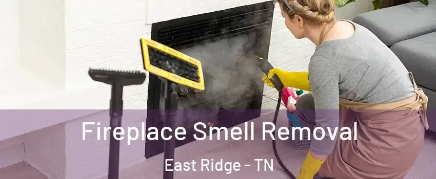  Fireplace Smell Removal East Ridge - TN