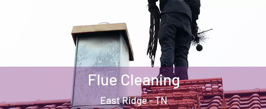  Flue Cleaning East Ridge - TN