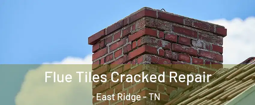  Flue Tiles Cracked Repair East Ridge - TN