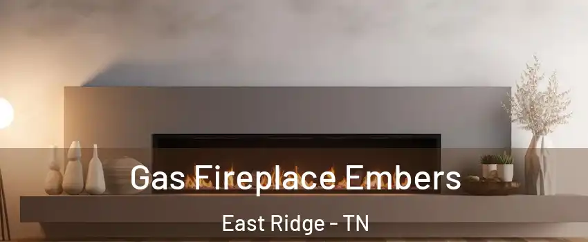  Gas Fireplace Embers East Ridge - TN