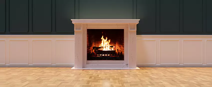 Napoleon Electric Fireplaces Inspection Service in East Ridge, Tennessee