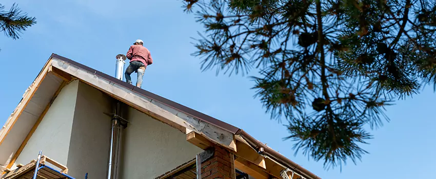 Birds Removal Contractors from Chimney in East Ridge, TN