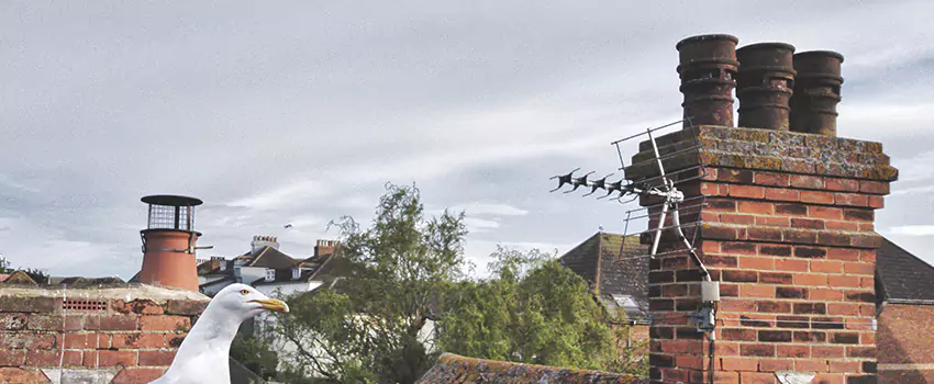 Chimney Cleaning And Restoration in East Ridge, Tennessee