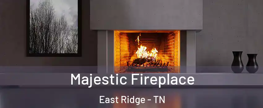  Majestic Fireplace East Ridge - TN