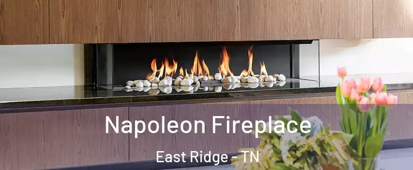  Napoleon Fireplace East Ridge - TN