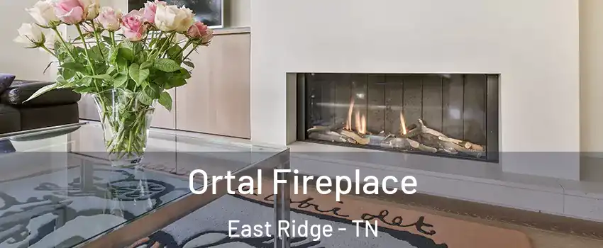  Ortal Fireplace East Ridge - TN