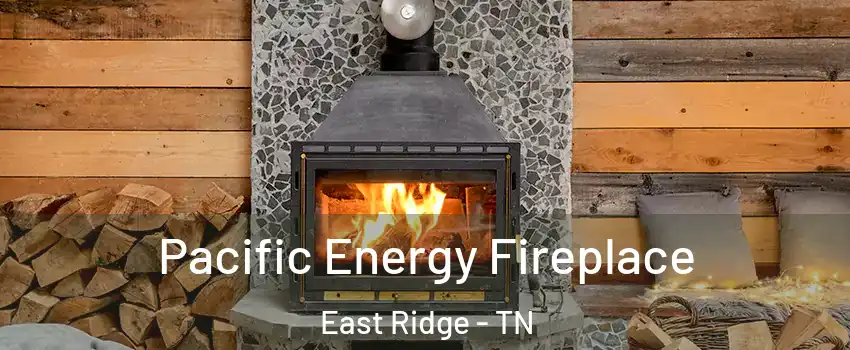  Pacific Energy Fireplace East Ridge - TN